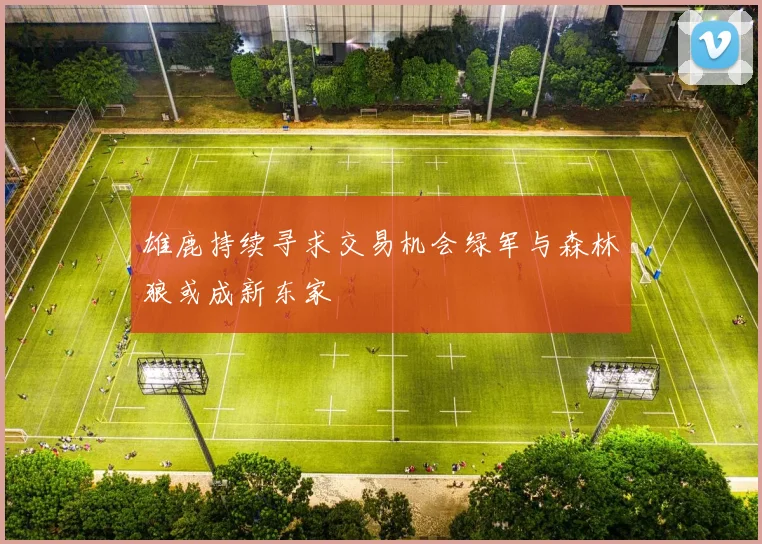 雄鹿持续寻求交易机会绿军与森林狼或成新东家
